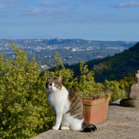 Amoureux Du Calme Et De La Nature Tanneron Exteriér fotografie